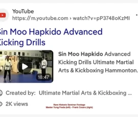 YouTube Sin Moo Hapkido Advanced Kicking Drills
